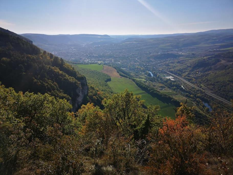 Charmant Logement De Qualite - Centre Ville De Millau Eksteriør billede